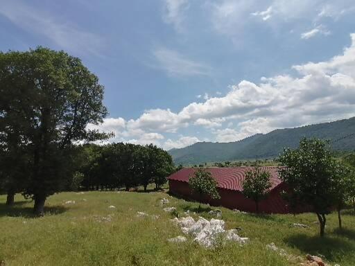 Farma & Apartmani Opg Sasa Delic Korenica Luaran gambar
