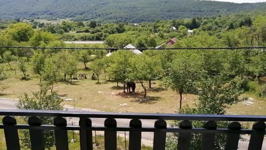 Farma & Apartmani Opg Sasa Delic Korenica Luaran gambar